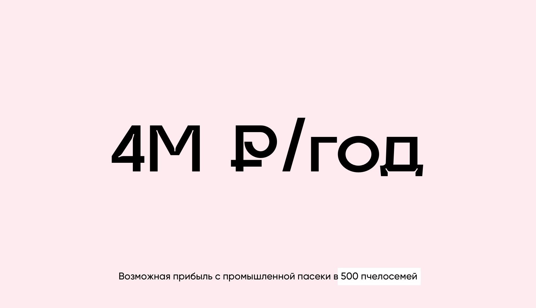 Сколько денег приносит одна пчела? Экономика пчеловодства до и после смены бизнес-модели - 4