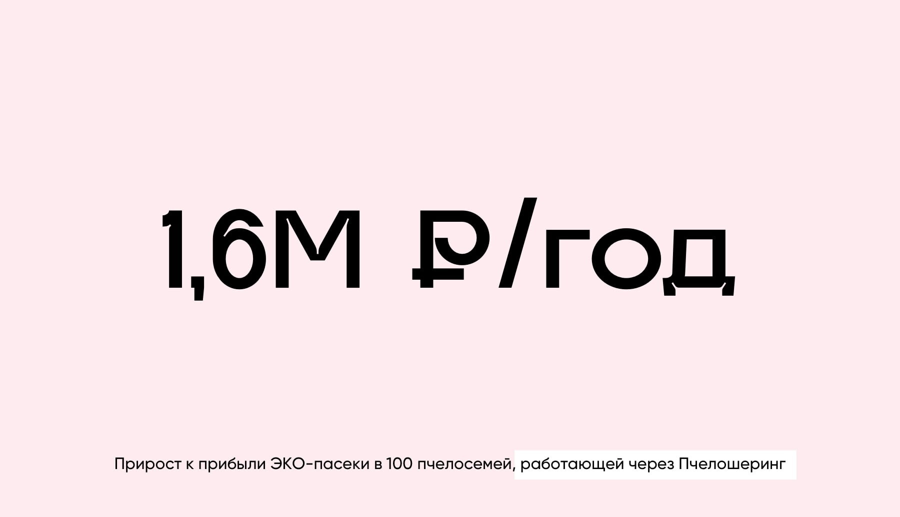 Сколько денег приносит одна пчела? Экономика пчеловодства до и после смены бизнес-модели - 6