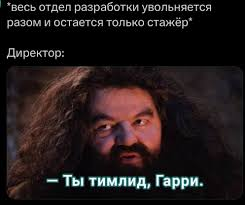 У тимлида нет цели, но есть путь. Или как стать настоящим самураем и не сделать сеппуку - 4