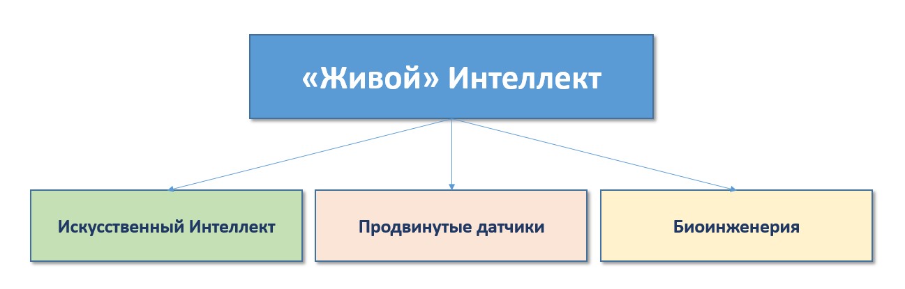 Состав LI (Living Intelligence) - "Живого" Интеллекта