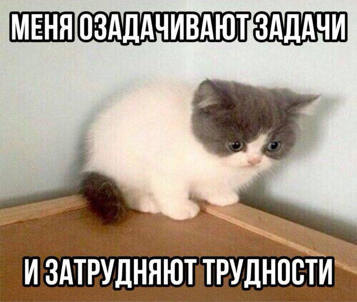 Как герой треда пытался внедрить Scrum, а придумал свою версию Getting Things Done (GTD) - 9