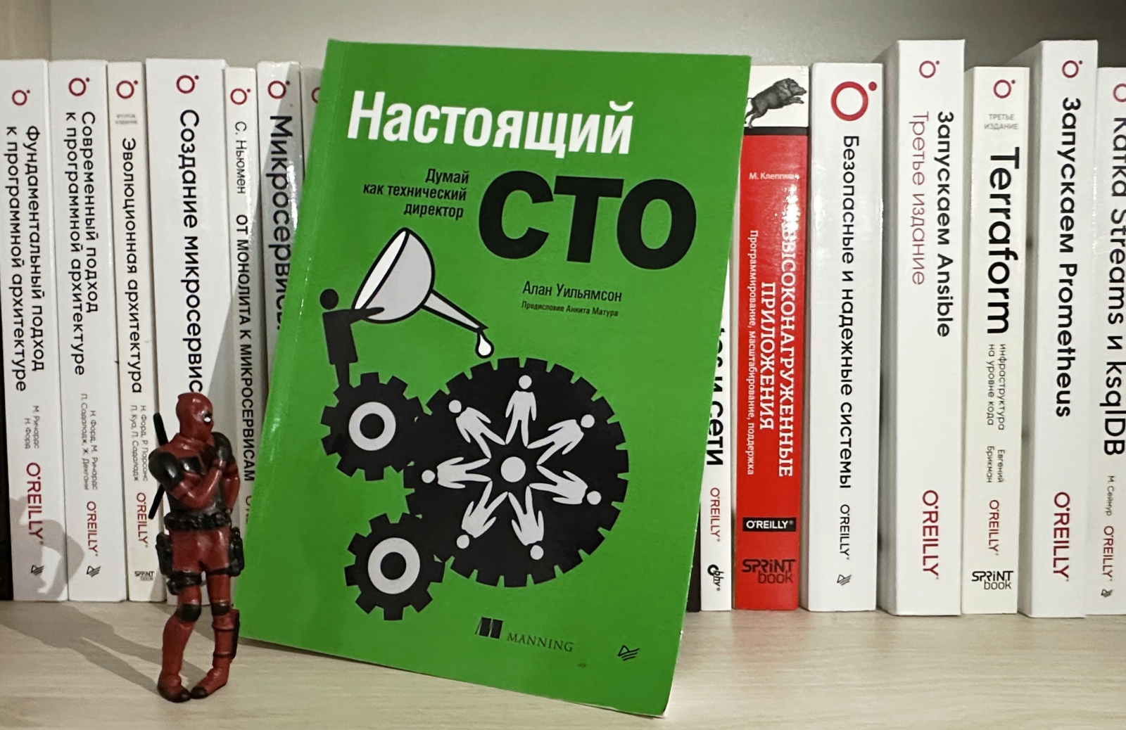 моя любимая книжная полочка моя любимая книжная полочка