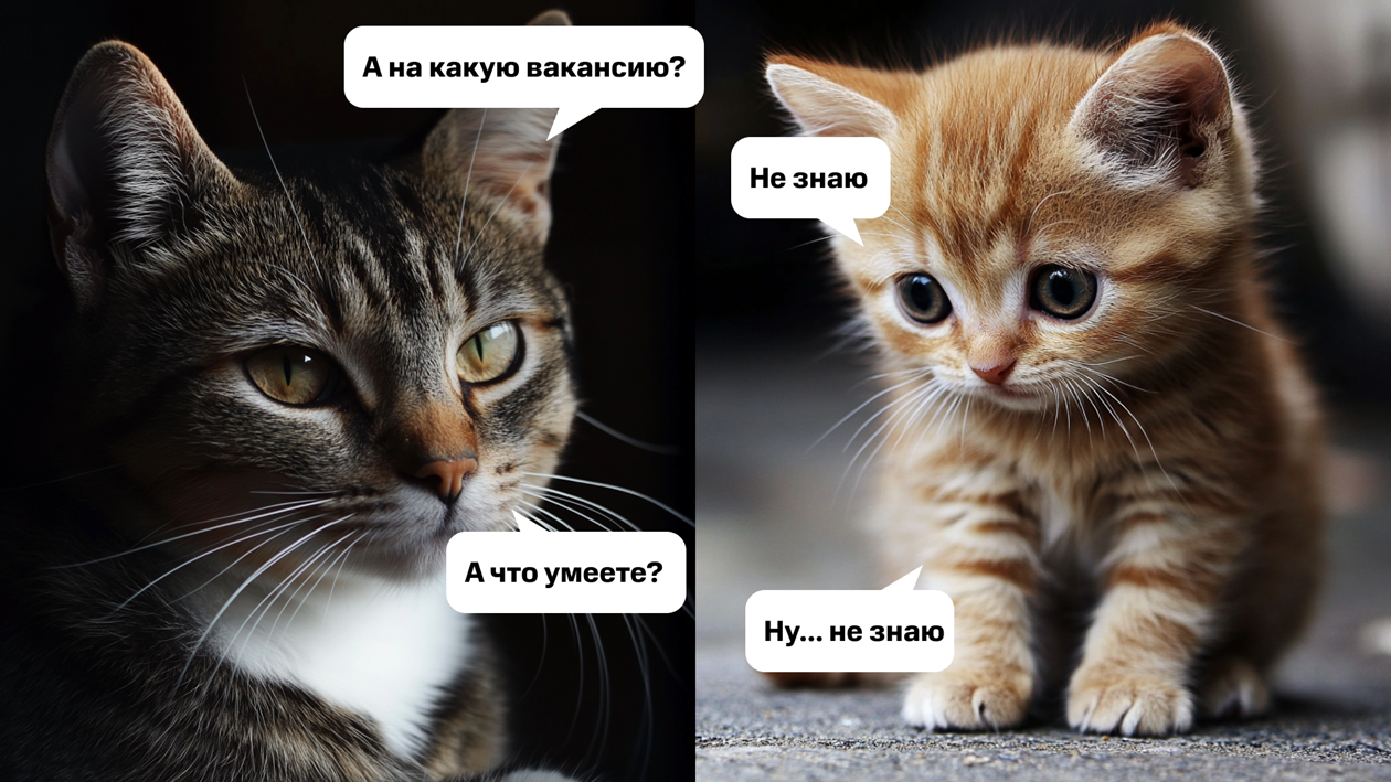 Как пережить собеседование, если ты интроверт и очень боишься провалиться - 3 Как пережить собеседование, если ты интроверт и очень боишься провалиться - 3