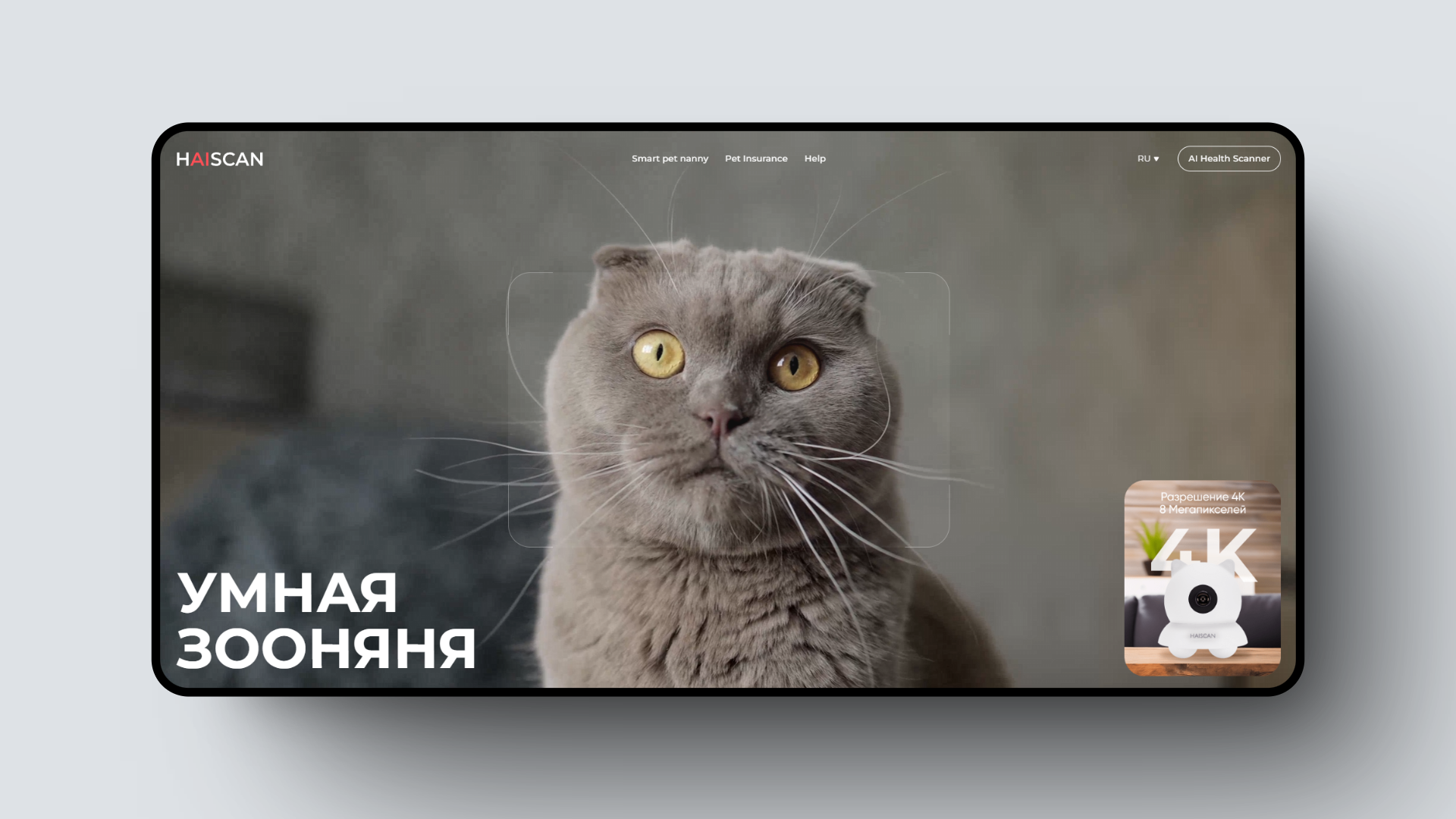 Тренажер печати для программистов, Симулятор для обучения инвестированию, Зооняня с ИИ – и еще 7 российских стартапов - 3 Тренажер печати для программистов, Симулятор для обучения инвестированию, Зооняня с ИИ – и еще 7 российских стартапов - 3