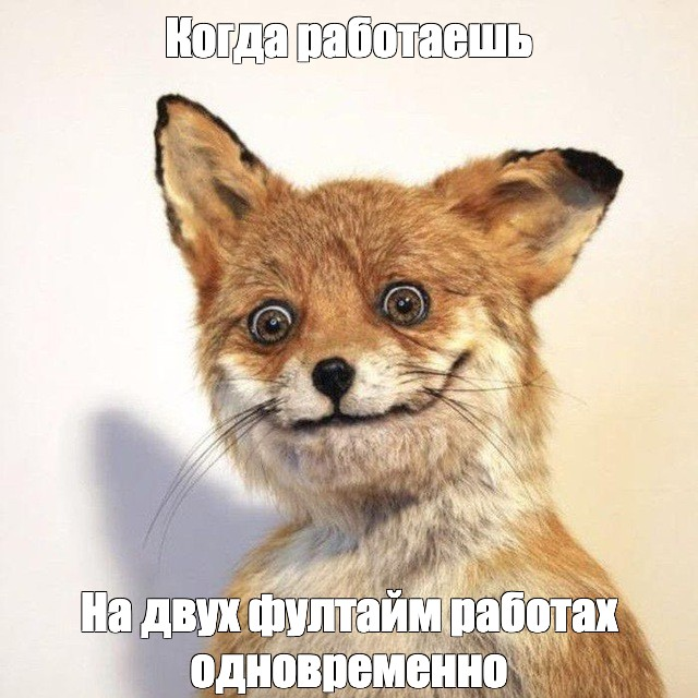 От кода до бизнеса: как я совмещаю разработку на 1С и управление своей компанией (спойлер: сложно, но интересно) - 4 От кода до бизнеса: как я совмещаю разработку на 1С и управление своей компанией (спойлер: сложно, но интересно) - 4