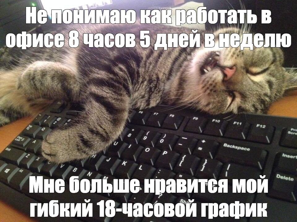 От кода до бизнеса: как я совмещаю разработку на 1С и управление своей компанией (спойлер: сложно, но интересно) - 1 От кода до бизнеса: как я совмещаю разработку на 1С и управление своей компанией (спойлер: сложно, но интересно) - 1