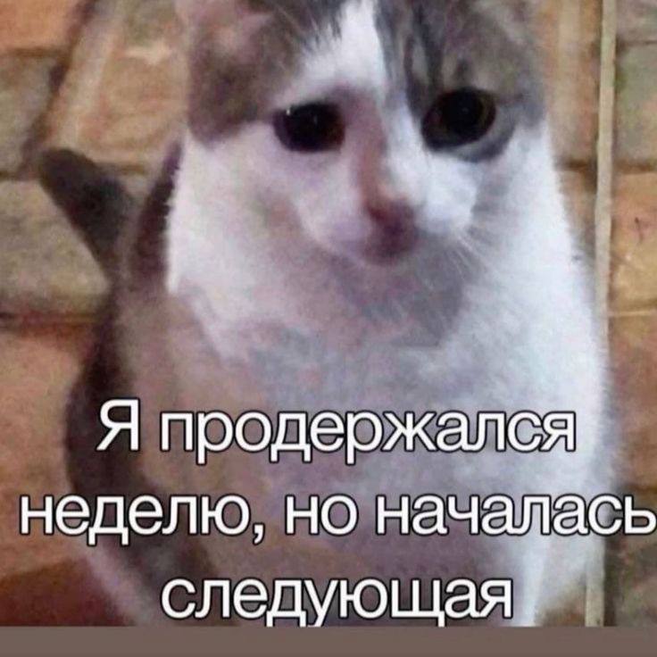 Результат постоянной перепроверки работы — на этой картинке. 