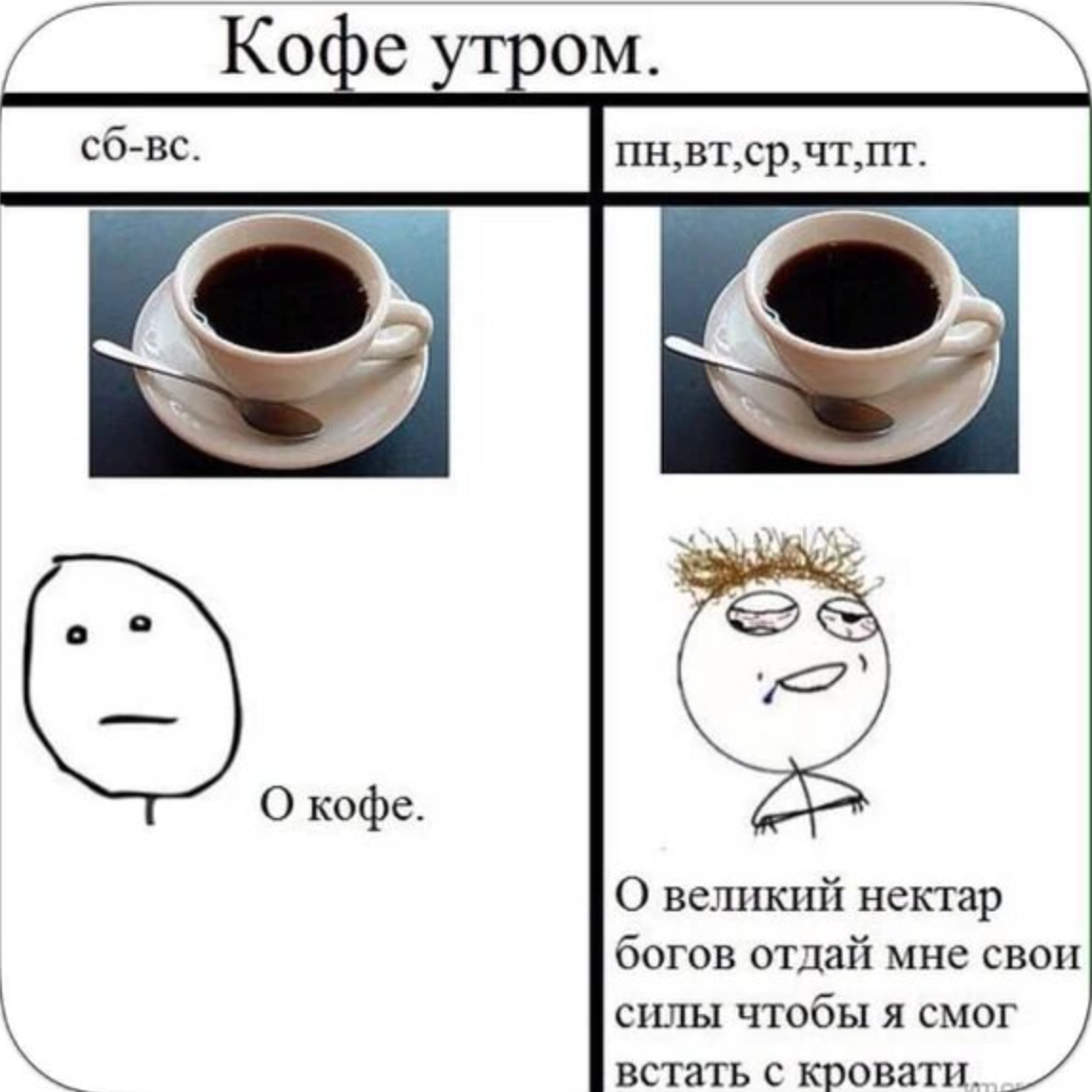 Кофе и деградация мозга. Как кофеин воздействует на организм на самом деле?