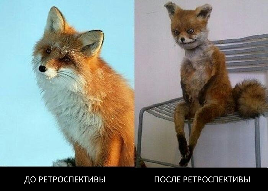 Как провести ретроспективу, которая реально работает - 2
