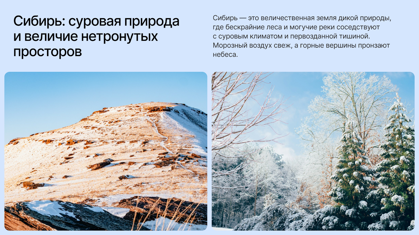 Этот слайд был создан с использованием искусственного интеллекта