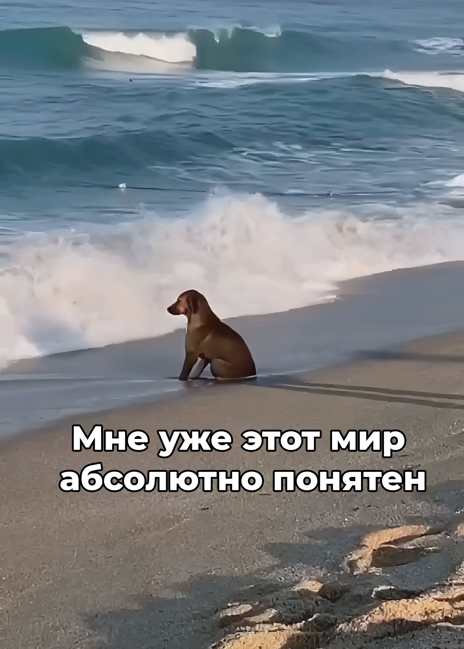 Профиль ЦФТ или я его слепила из того, что было - 13