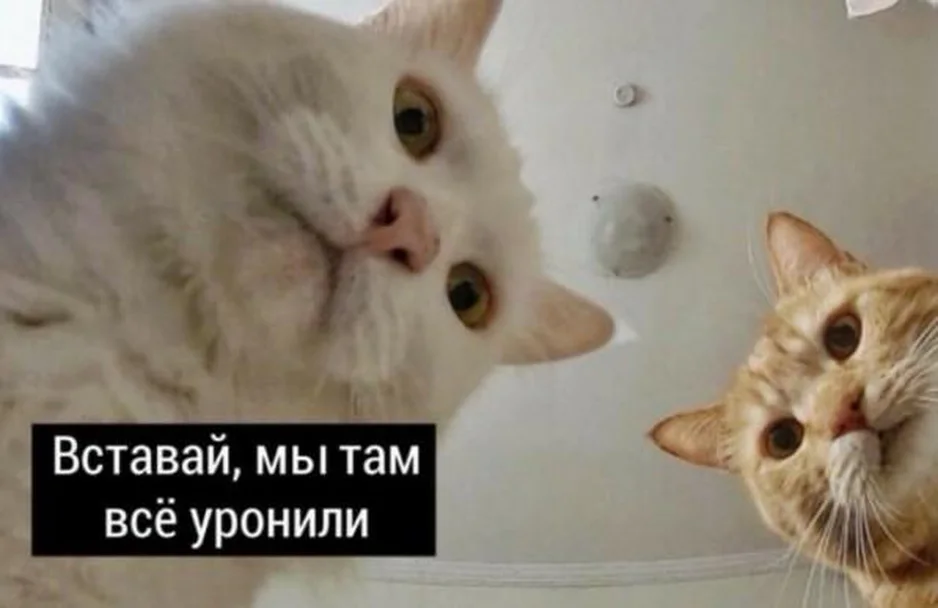 Как планы действий помогают нам работать с аварийными ситуациями в критических системах - 1 Как планы действий помогают нам работать с аварийными ситуациями в критических системах - 1
