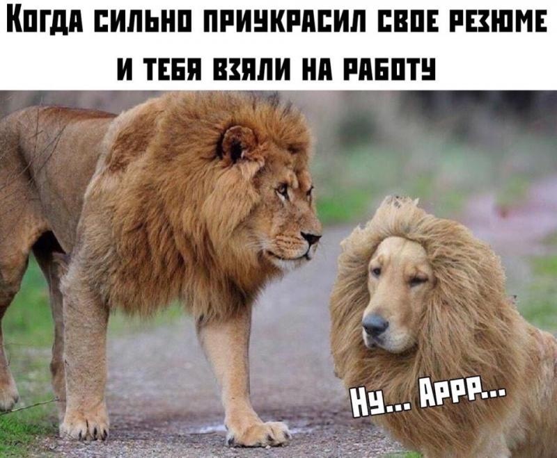 Не, ну не до такой степени приукрашивать, конечно