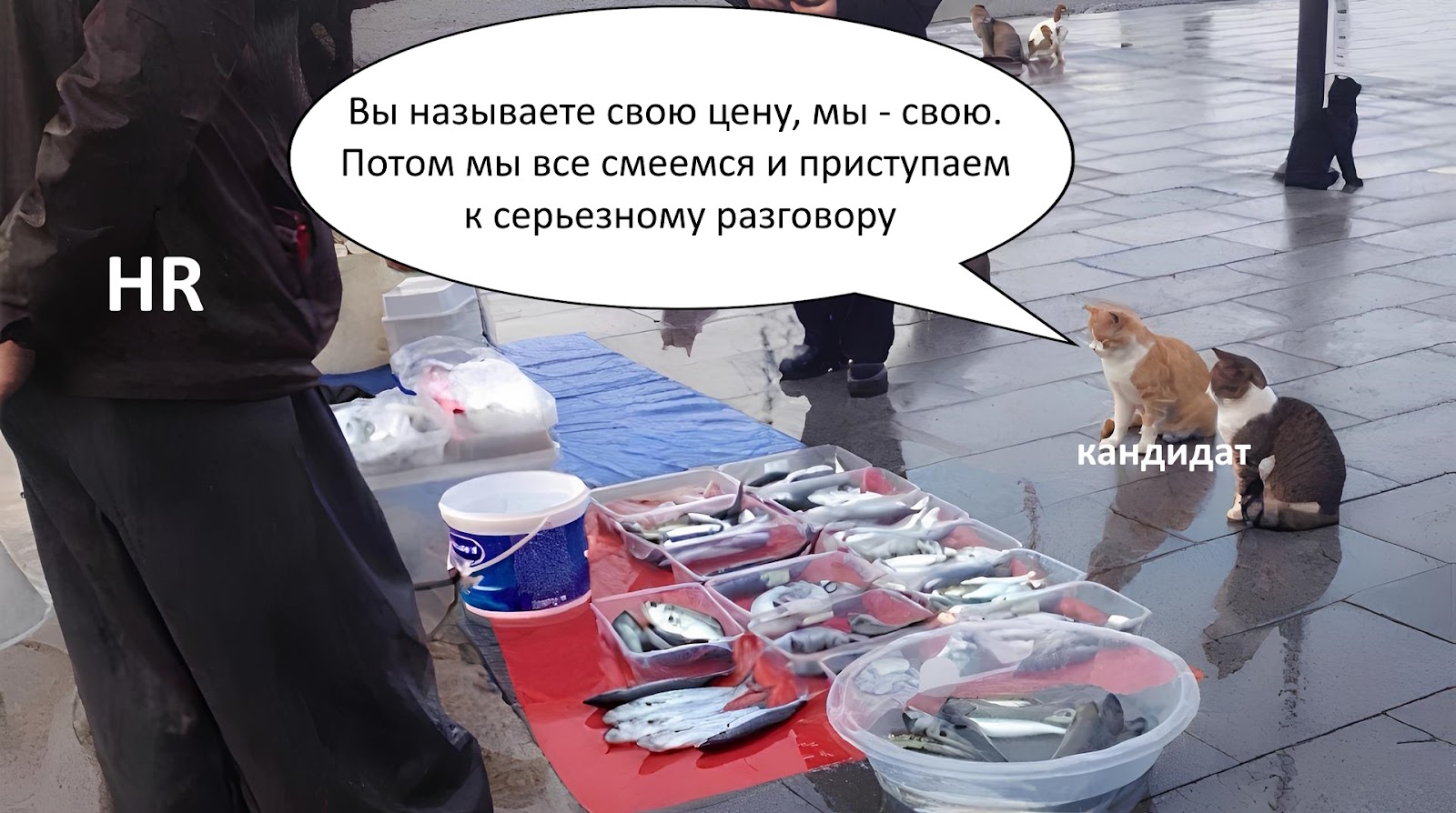 Вакансиев показывают! КрОсивое...