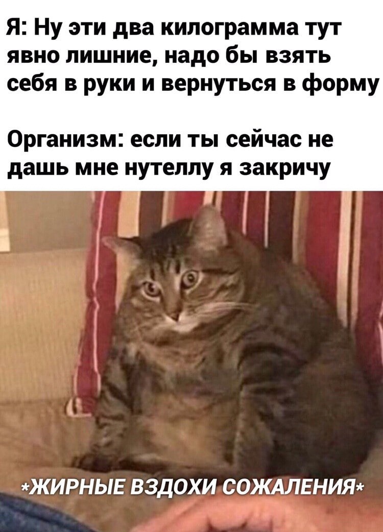 Научные подходы к полезным привычкам: мифы, стратегии и нейробиология - 2 Научные подходы к полезным привычкам: мифы, стратегии и нейробиология - 2