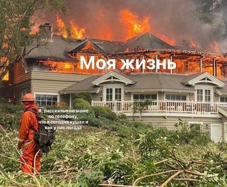 Научные подходы к полезным привычкам: мифы, стратегии и нейробиология - 1 Научные подходы к полезным привычкам: мифы, стратегии и нейробиология - 1