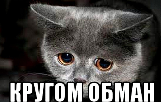 Разочарование в системе отзывов