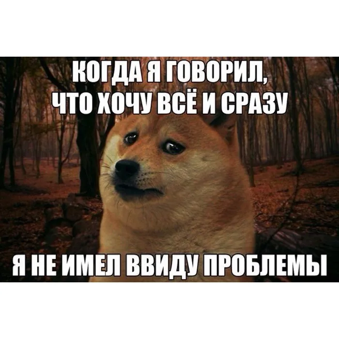 Когда заказчик хотел всего и сразу, но что-то пошло не так