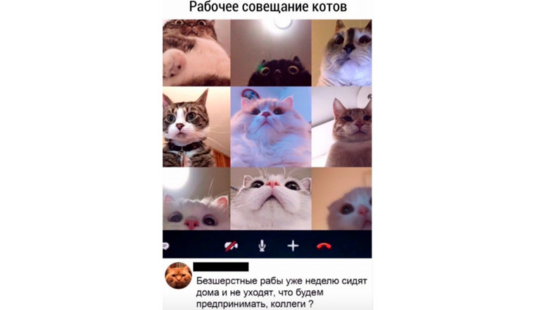 Должен ли разработчик только писать код? - 4 Должен ли разработчик только писать код? - 4