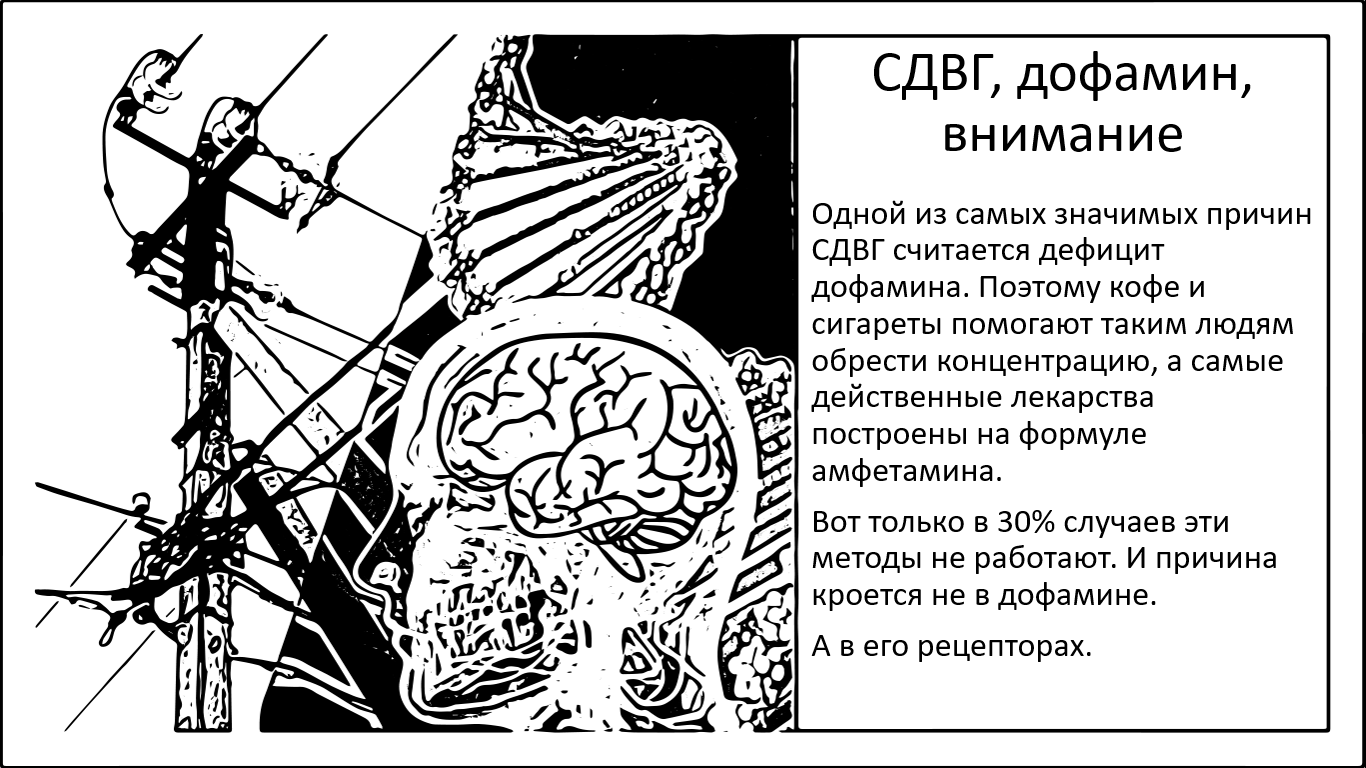 СДВГ, дофамин и концентрация внимания. Почему буст дофамина далеко не всегда помогает? - 1 СДВГ, дофамин и концентрация внимания. Почему буст дофамина далеко не всегда помогает? - 1