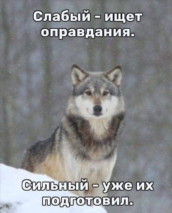 Как мы создавали ИТ-школу с нуля: ошибки, инсайты и уроки, которые мы извлекли (часть 1) - 4 Как мы создавали ИТ-школу с нуля: ошибки, инсайты и уроки, которые мы извлекли (часть 1) - 4