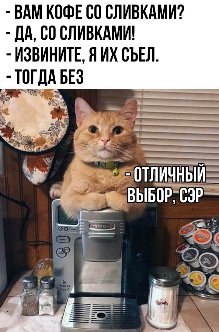 Так выглядели мы перед бизнес-заказчиками на этапе запуска ИТ-школы Так выглядели мы перед бизнес-заказчиками на этапе запуска ИТ-школы