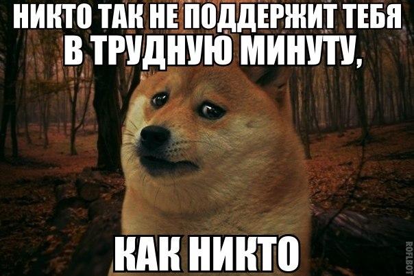 Одиночество СЕО: чем больше росла компания, тем чаще я оставался один на один с проблемами - 1 Одиночество СЕО: чем больше росла компания, тем чаще я оставался один на один с проблемами - 1