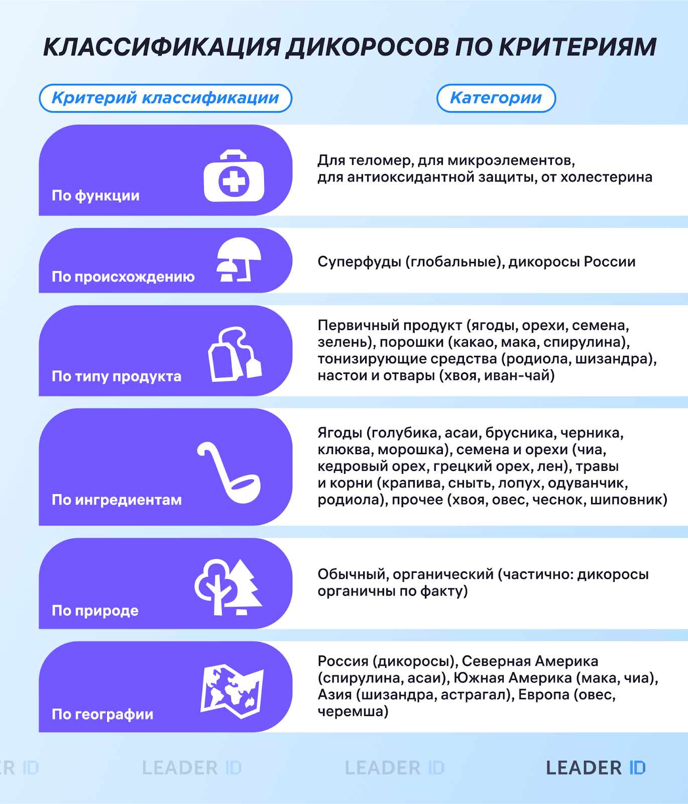 Классификация дикорастущих растений по ключевым критериям  