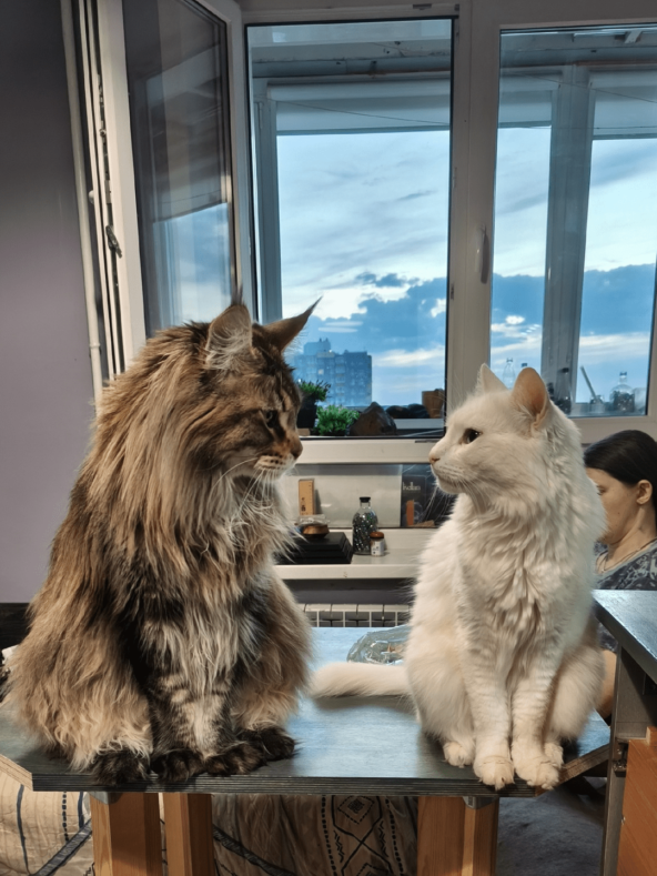 Они не продают — они хвастаются. Но люди всё равно покупают - 16 Они не продают — они хвастаются. Но люди всё равно покупают