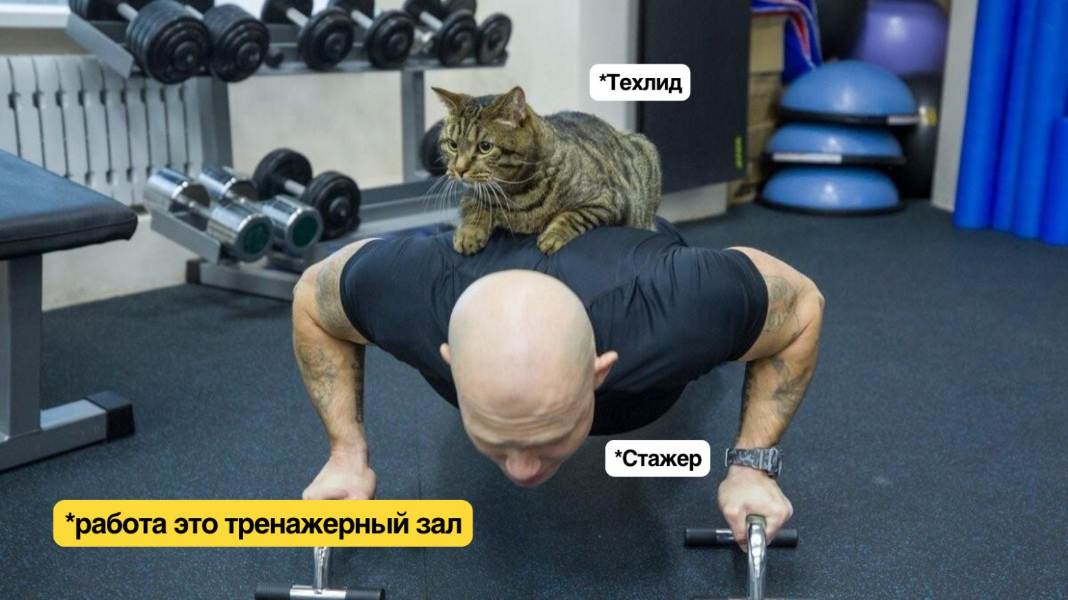 Для обычных людей, а не биороботов: 6 историй про простые системы продуктивности - 2