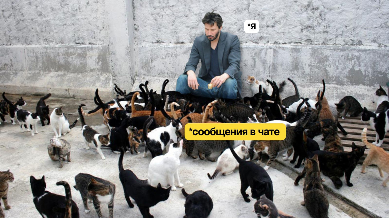 Для обычных людей, а не биороботов: 6 историй про простые системы продуктивности - 3