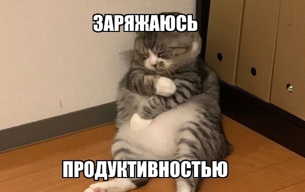 Я сплю на рабочем месте и вам советую - 1