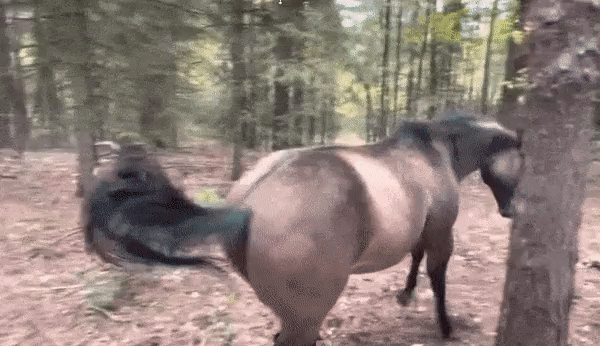 С появления bbox — все кадры автоматически летели в чистый датасет