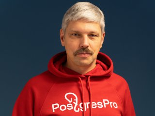 Open source профессиональный и любительский — взять лучшее от двух миров? [Что думают эксперты и лидеры индустрии] - 4