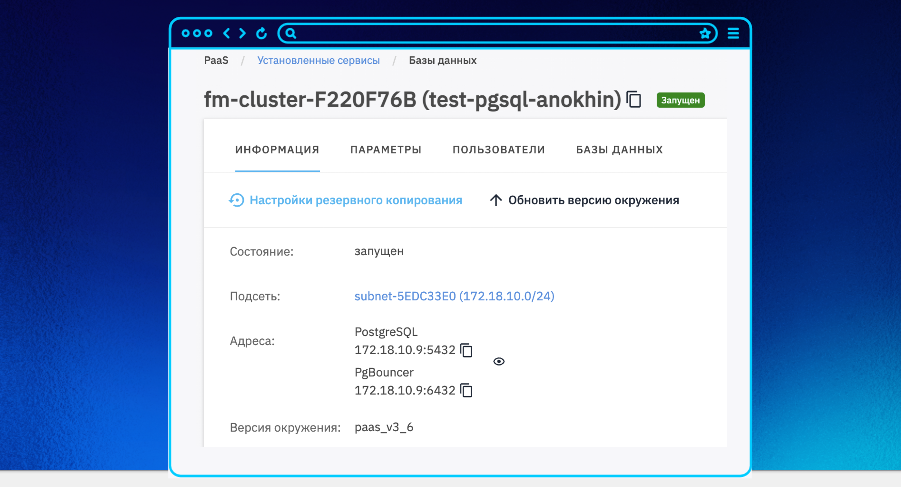 Пользовательский веб-интерфейс: состояние кластера «Запущен», IP-адреса и версия окружения.