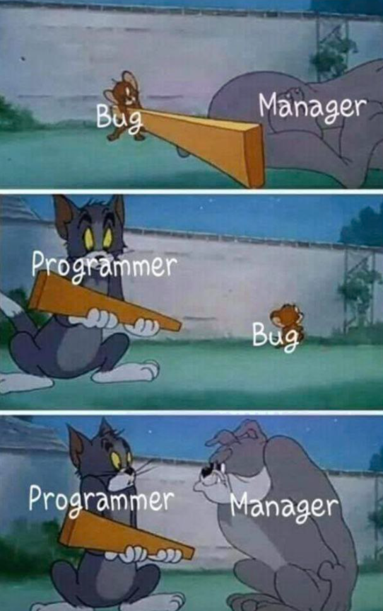 Миниатюра: причина появления тестировщика