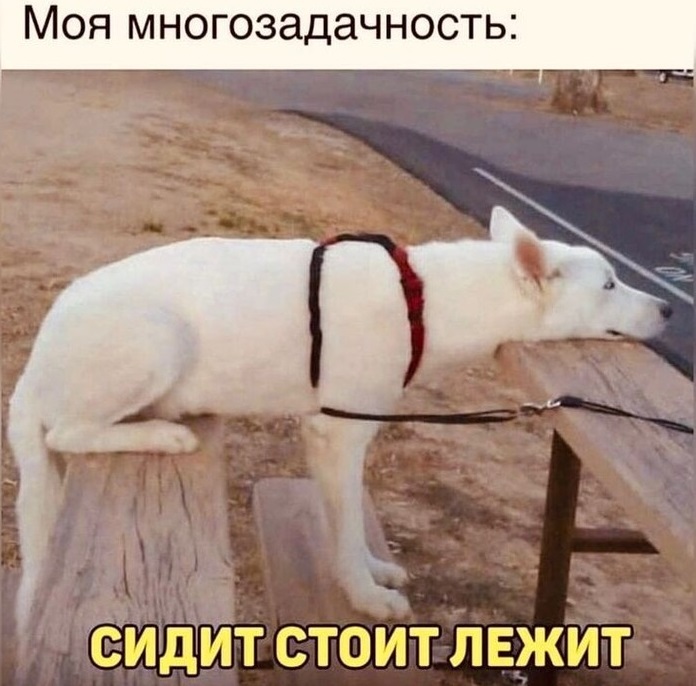 Единственная многозадачность, в которую я верю