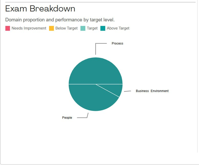 Результат экзамене с разделением по трём доменам: люди, процессы, бизнес-среда