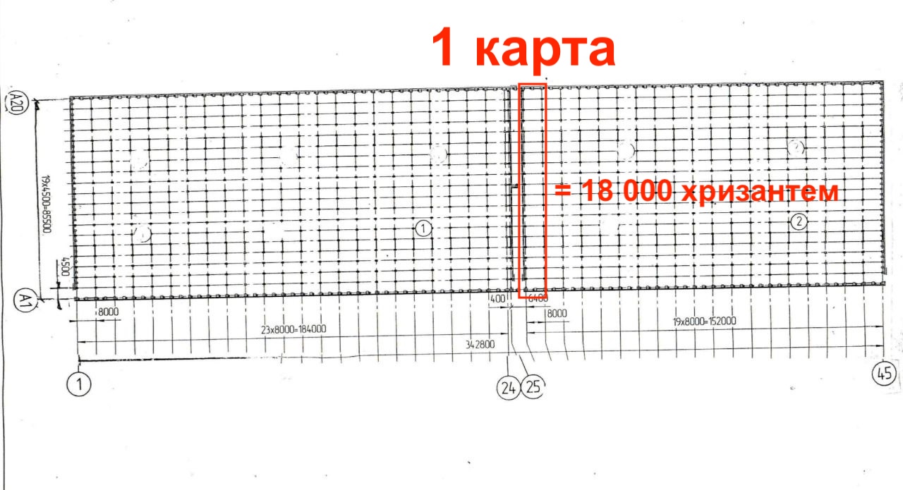 Я привез из-за границы, укрывал от солнца, чтобы заработать 11 млн за 100 дней - 15