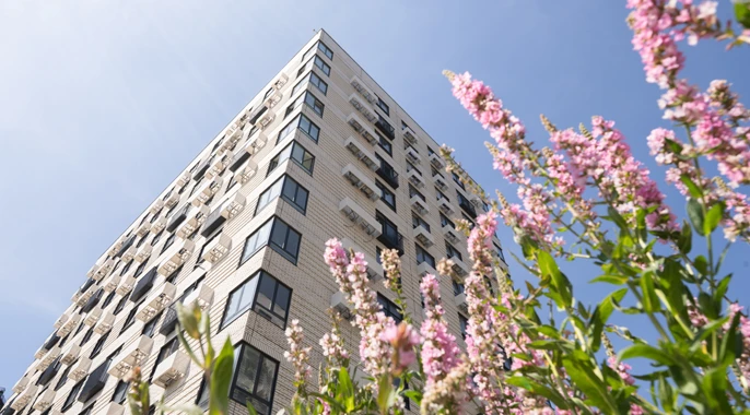 BIM для архитекторов. Как это работает в ПИК - 1