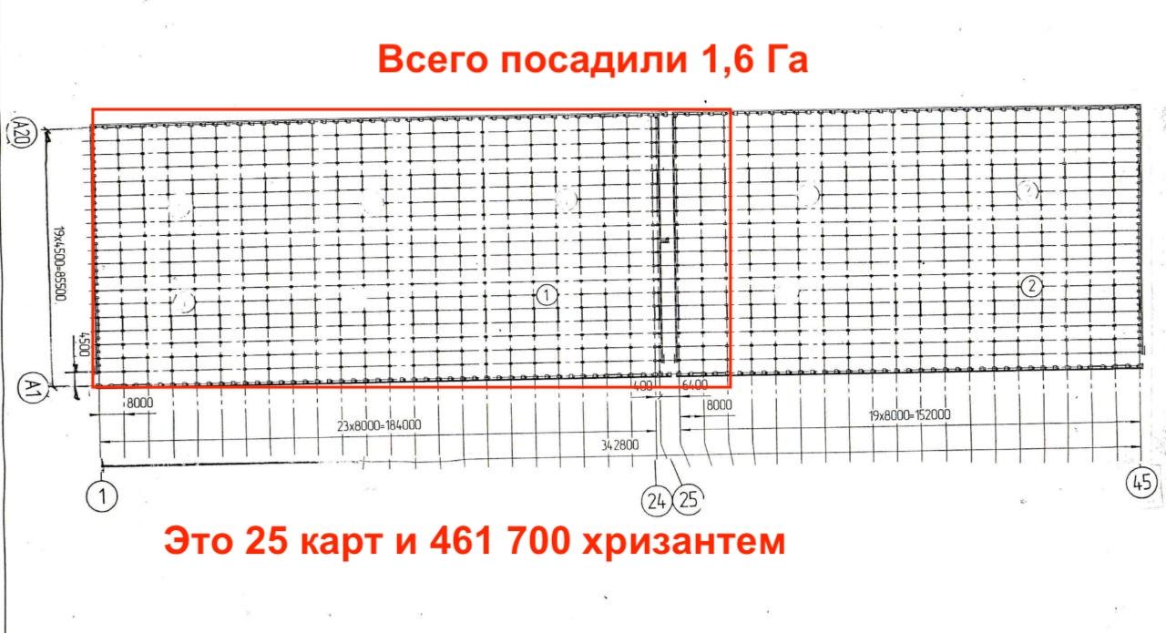 Схема нашей теплицы 