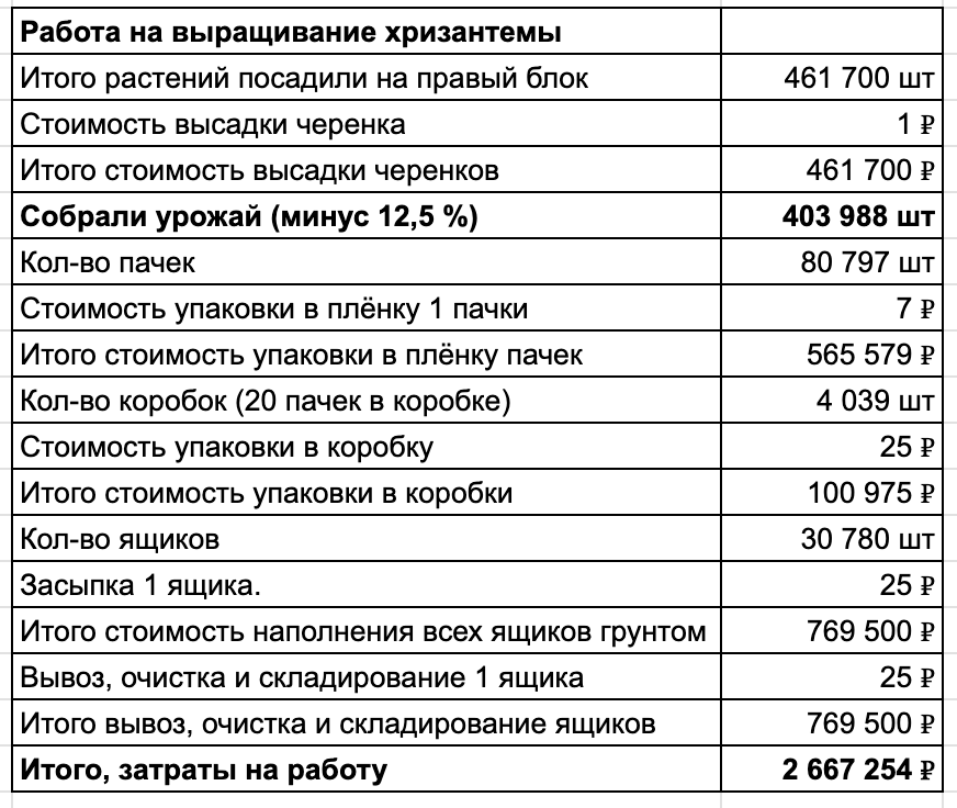 Как я посадил 800 000 хризантем и пожалел - 18