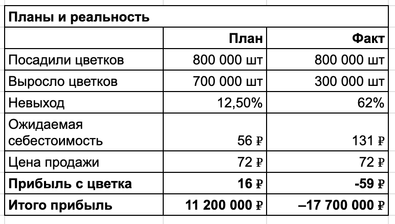 Как я посадил 800 000 хризантем и пожалел - 21