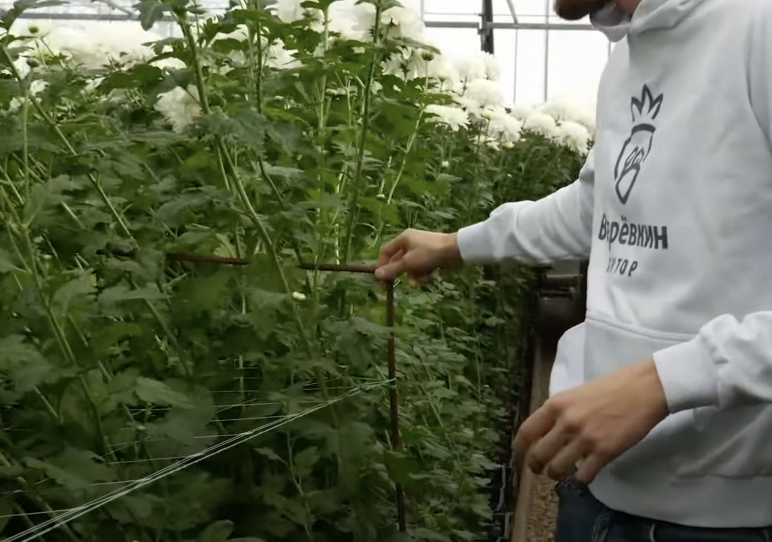 С помощью этой конструкции фиксируется сетка