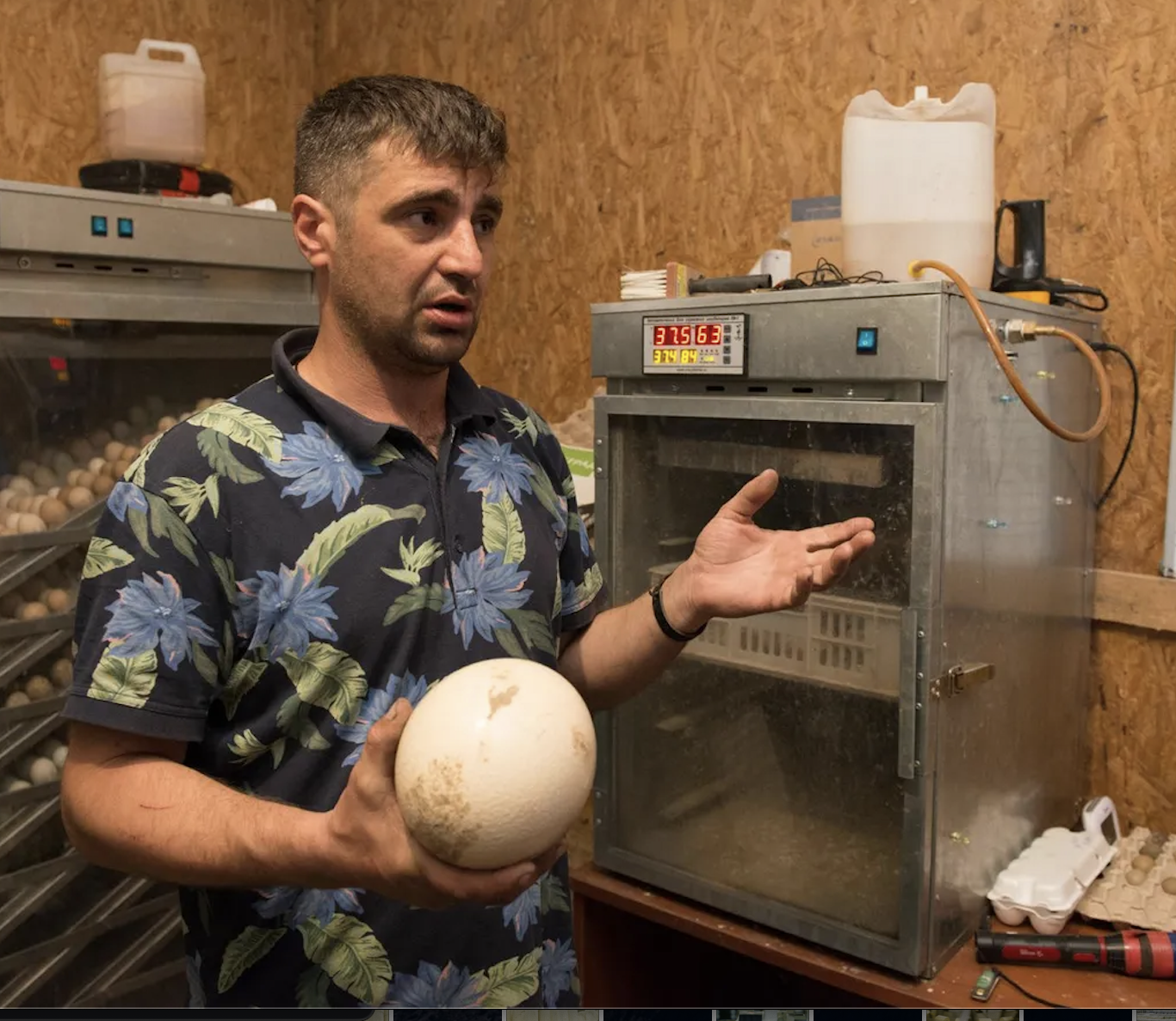 Точнее, понеслись. 