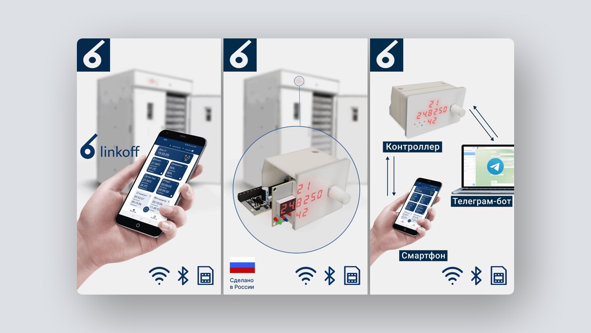 Сервис по выгулу и передержке собак, языковое сообщество для изучения 120+ языков – и ещё 8 российских стартапов - 10