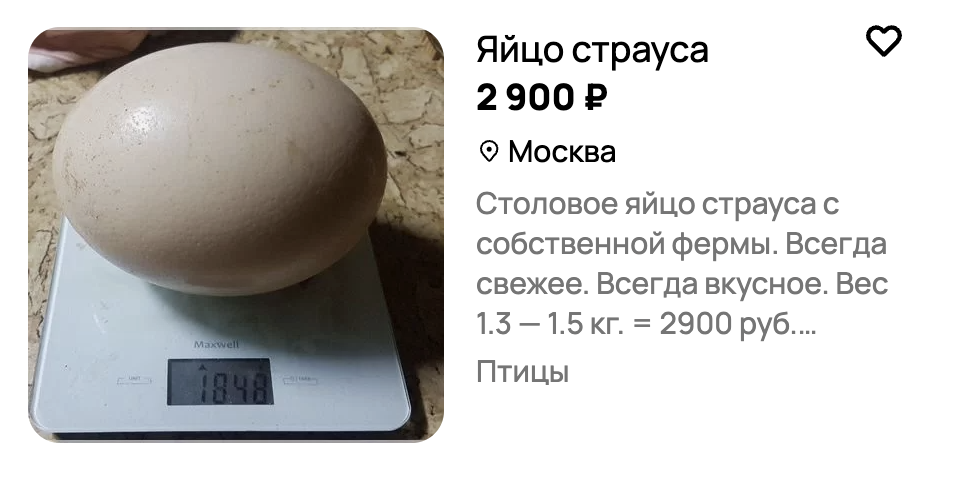 У меня было 11 млн, я мог вложить их в квартиру, но вложил в страусов, вот что вышло - 8 У меня было 11 млн, я мог вложить их в квартиру, но вложил в страусов, вот что вышло - 8