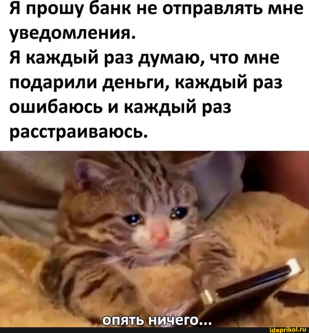 Выручка есть, а денег нет - 2