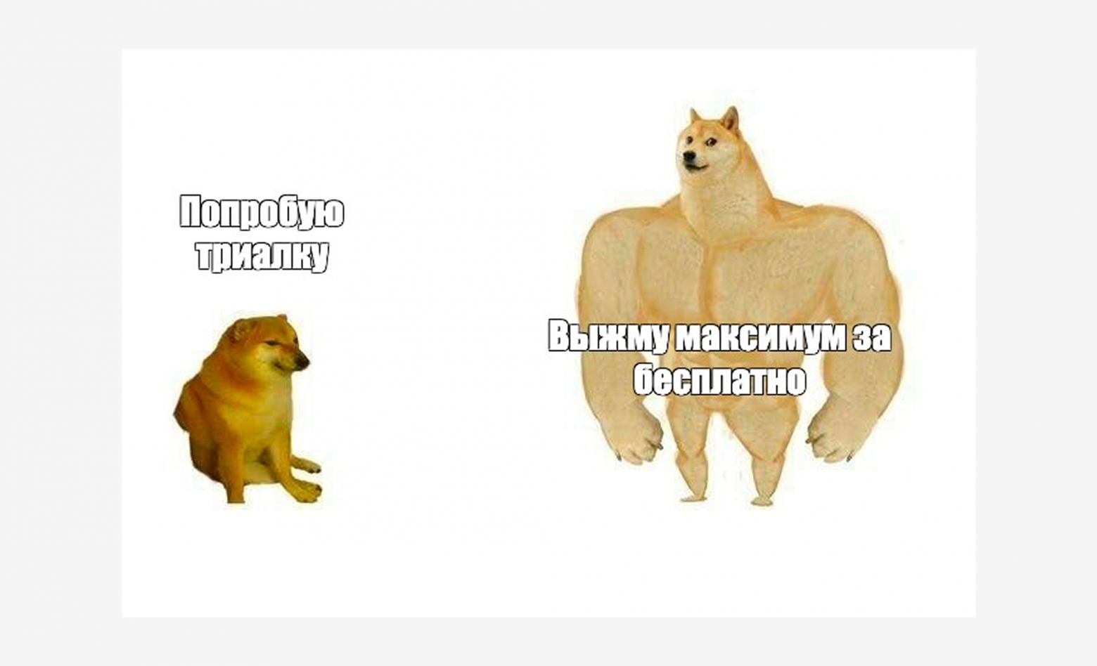 Обзор 10 бесплатных систем управления проектами в 2025 году: проверяем, что можно без бюджета - 1 Обзор 10 бесплатных систем управления проектами в 2025 году: проверяем, что можно без бюджета - 1