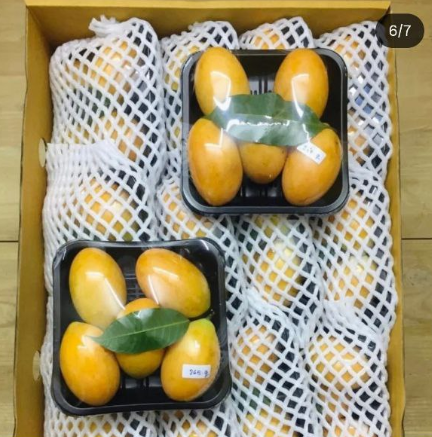 Мы нашли нишу, куда не идут сети, и продаем на 10 млн ₽ в год. Но всё время думаем, что дальше - 4 Мы нашли нишу, куда не идут сети, и продаем на 10 млн ₽ в год. Но всё время думаем, что дальше - 4